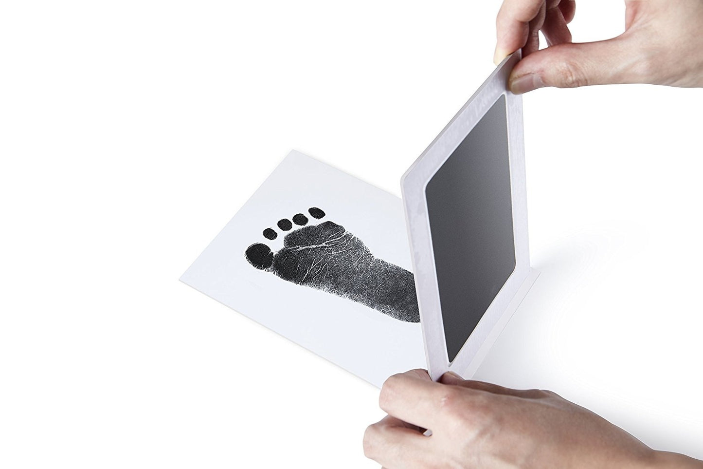 Pet Foot Prints