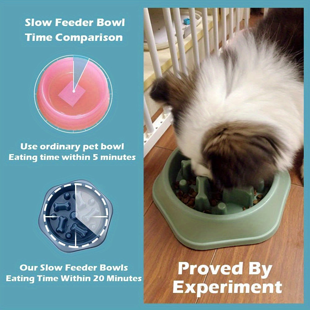 Healthy Eating Habits - Non-Slip Slow Feeder Pet Bowl
