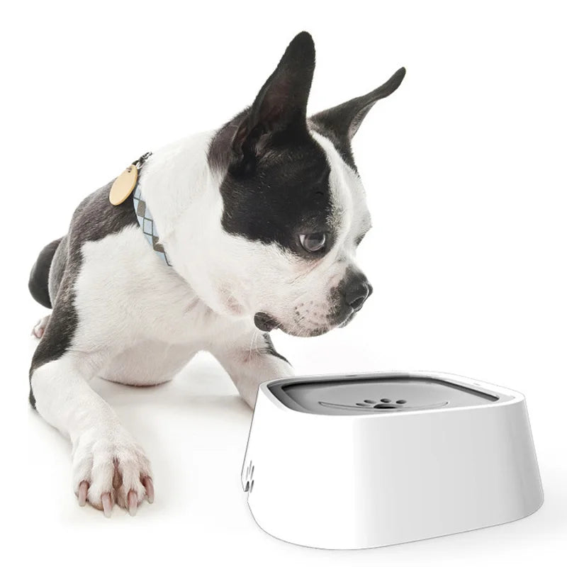 Anti-Spill Water Bowl