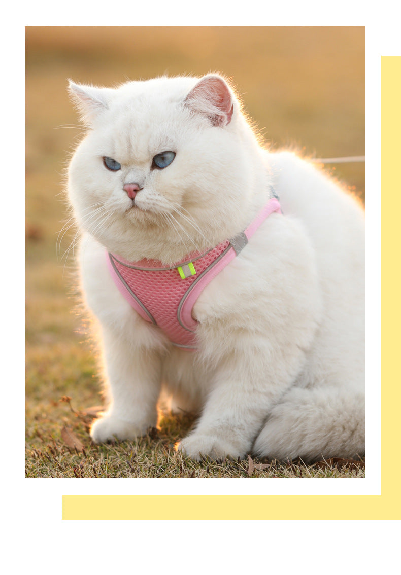 Breathable Harness Vest