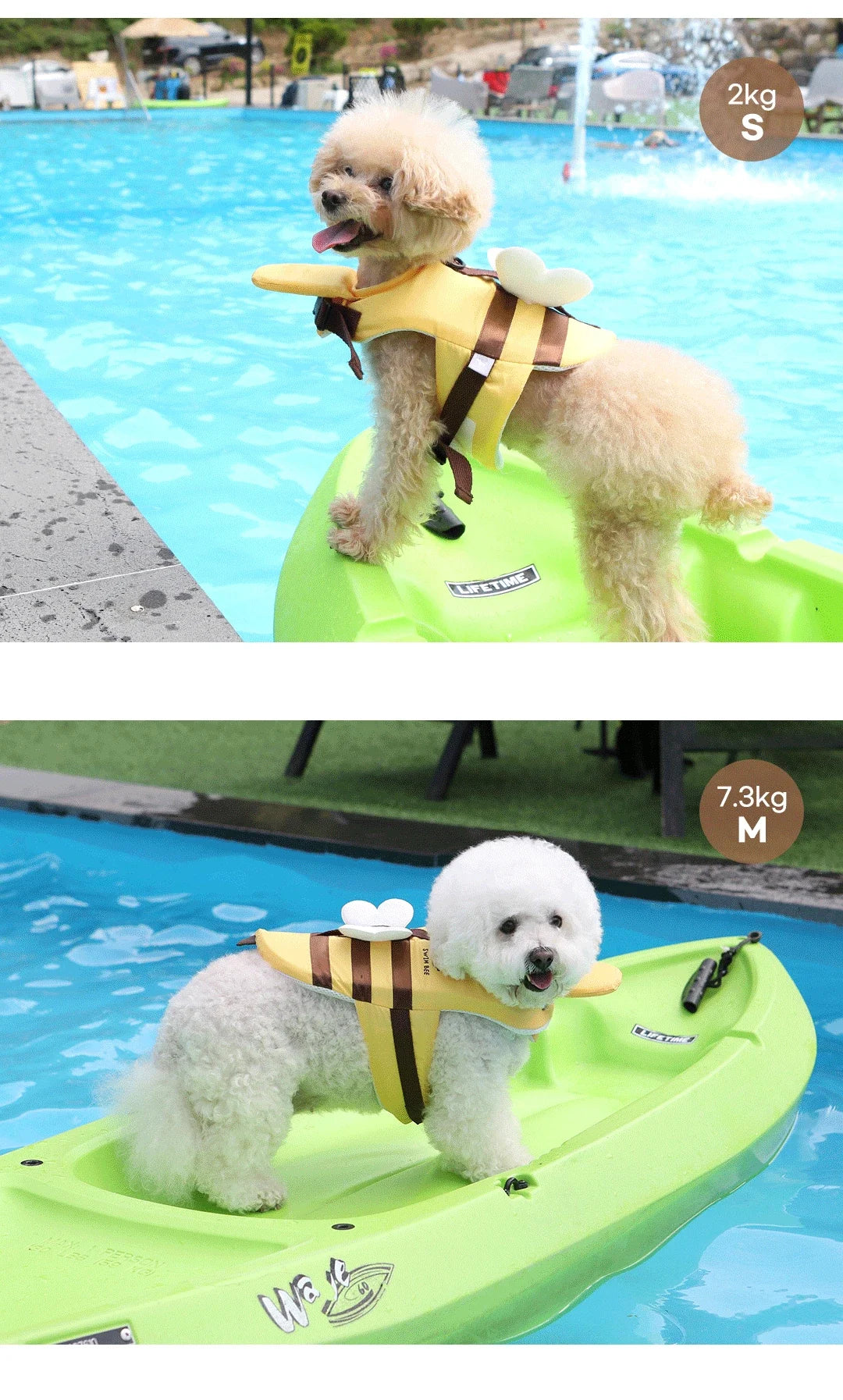 Little Bee Dog Swimsuit