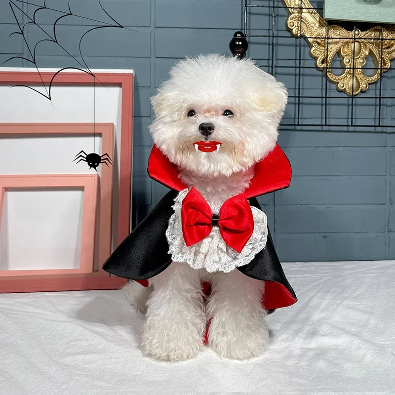 Pet Vampire Costumes