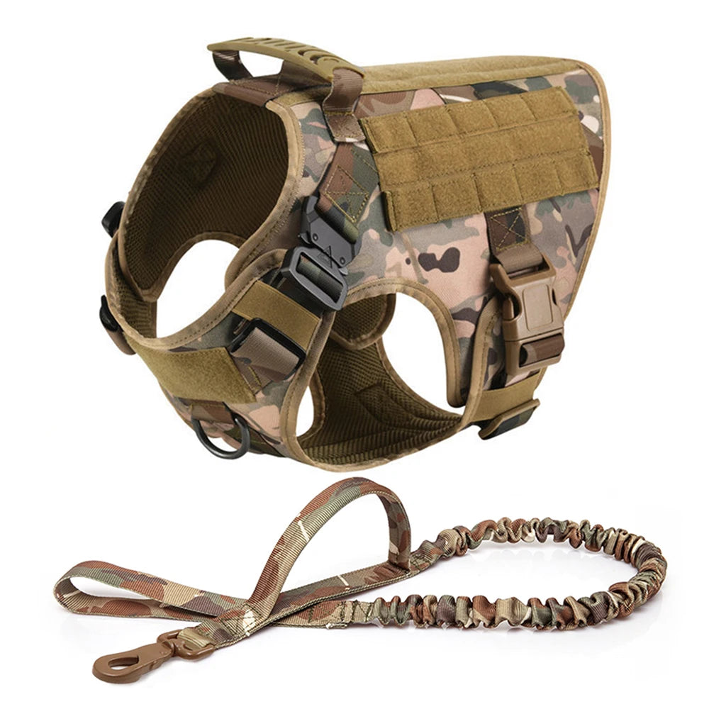 Large Dog Harness Collar Leash
