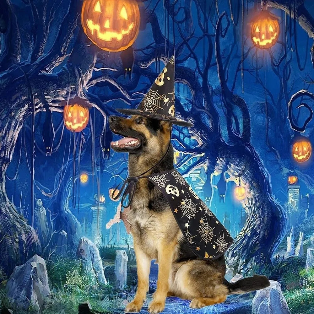Funny Pumpkin Pet Halloween Costumes Cape