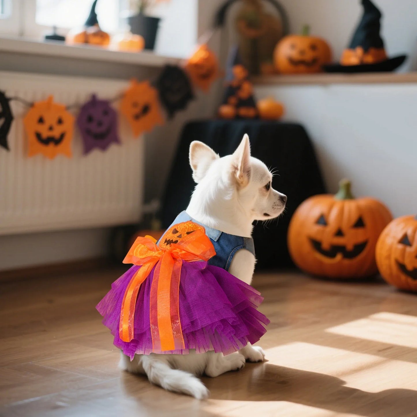 Halloween Cosplay Costume
