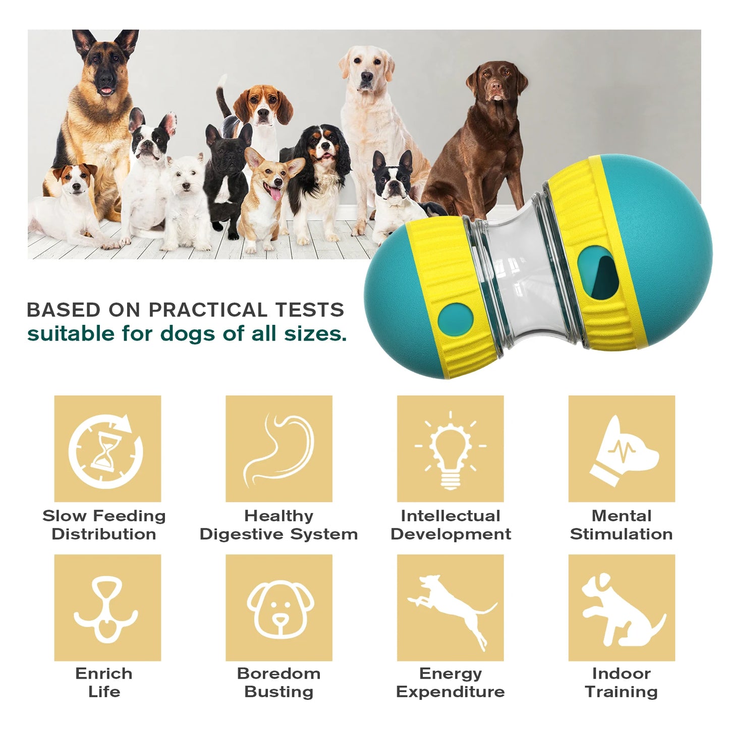 Treat Dispenser