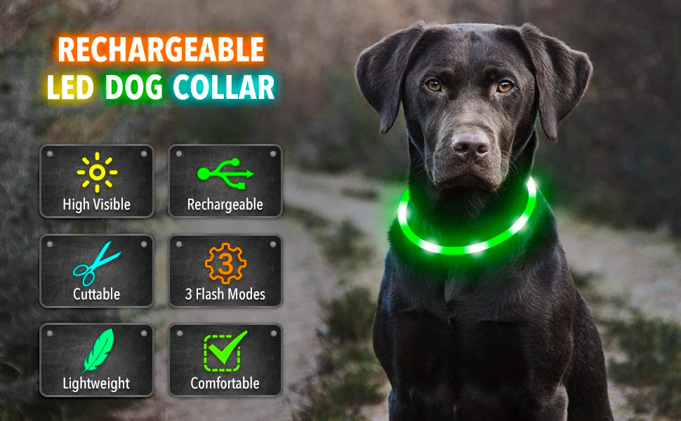 Luminous Collar