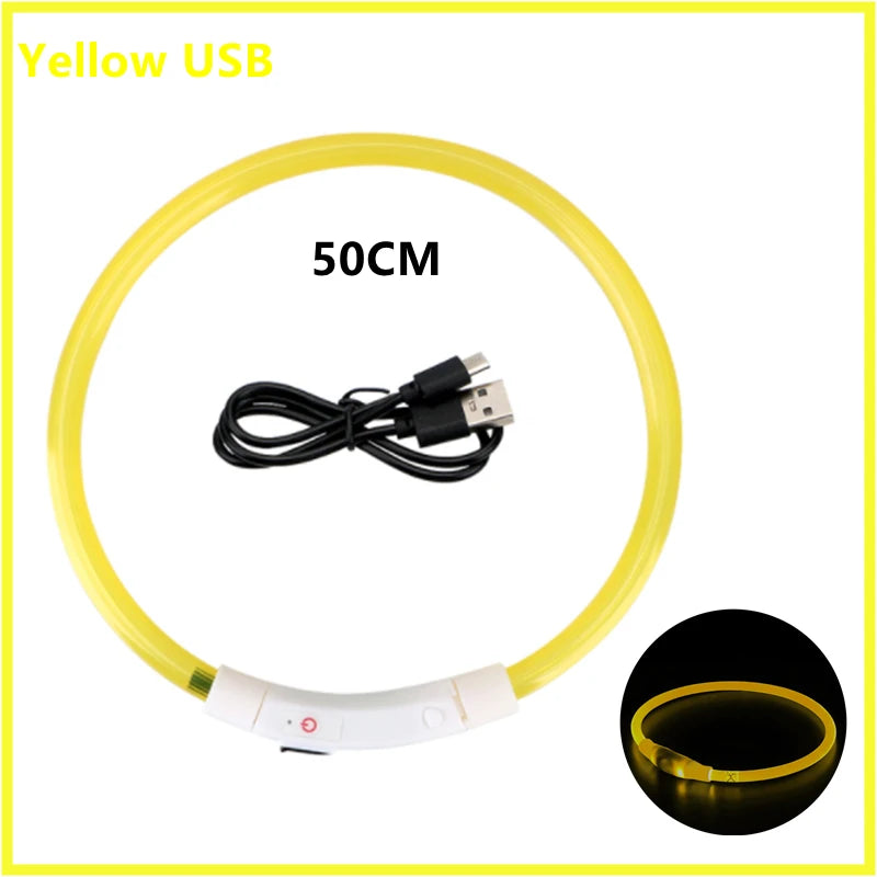 Luminous Collar