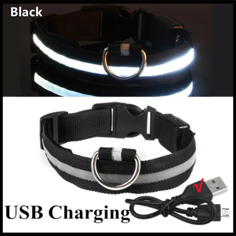 Luminous Collar
