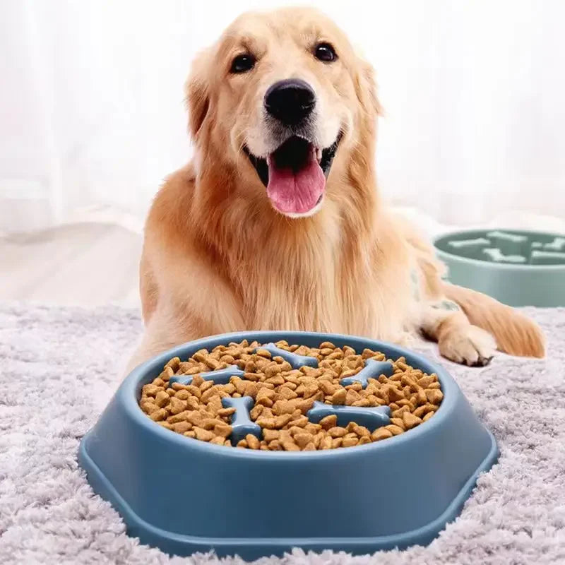 Anti-choking Slow Feeding Bowls