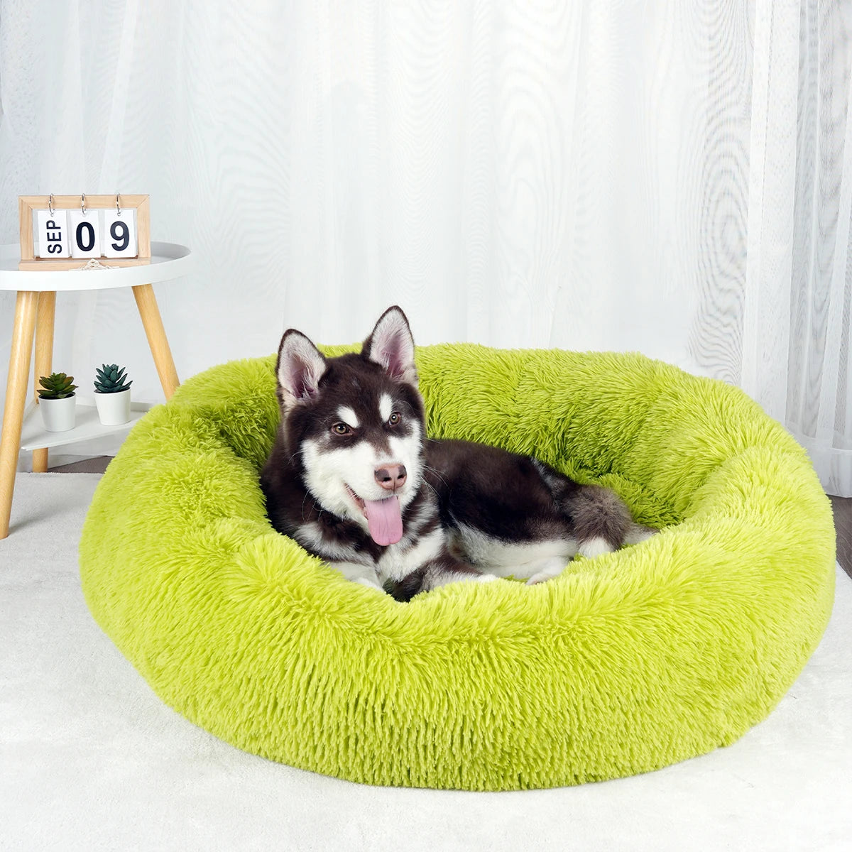 Large Round Donut Bed