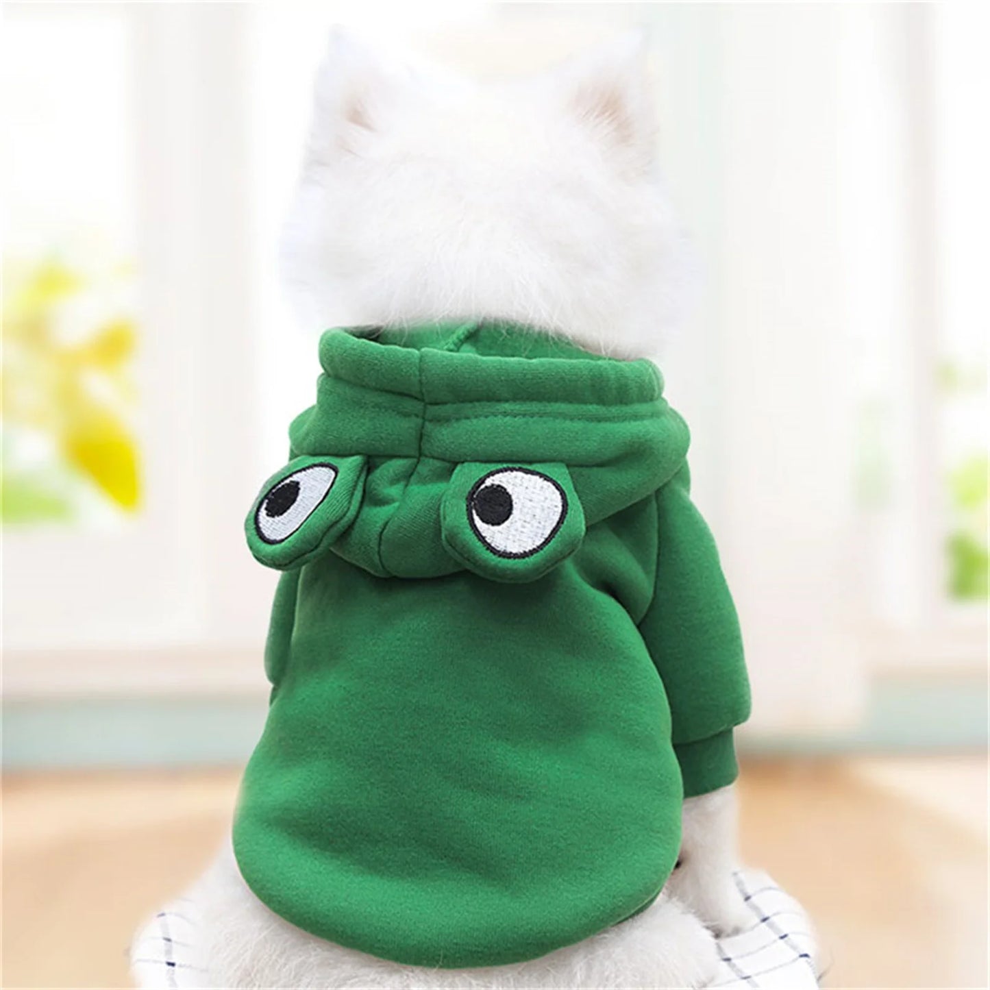 Carrot Frog Hoodie