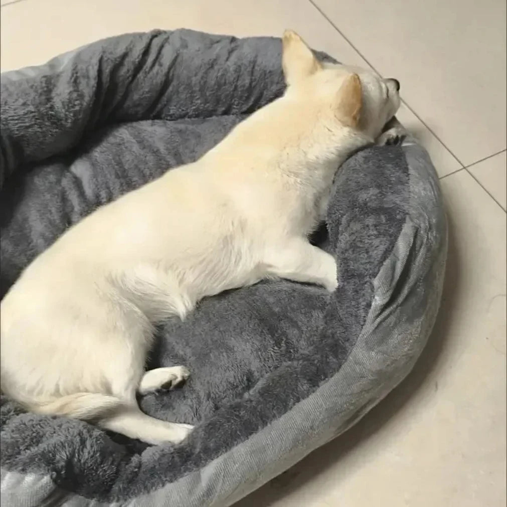 Soft Warm Bed