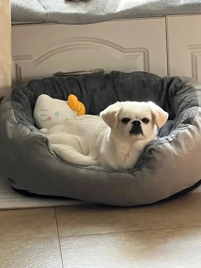 Soft Warm Bed