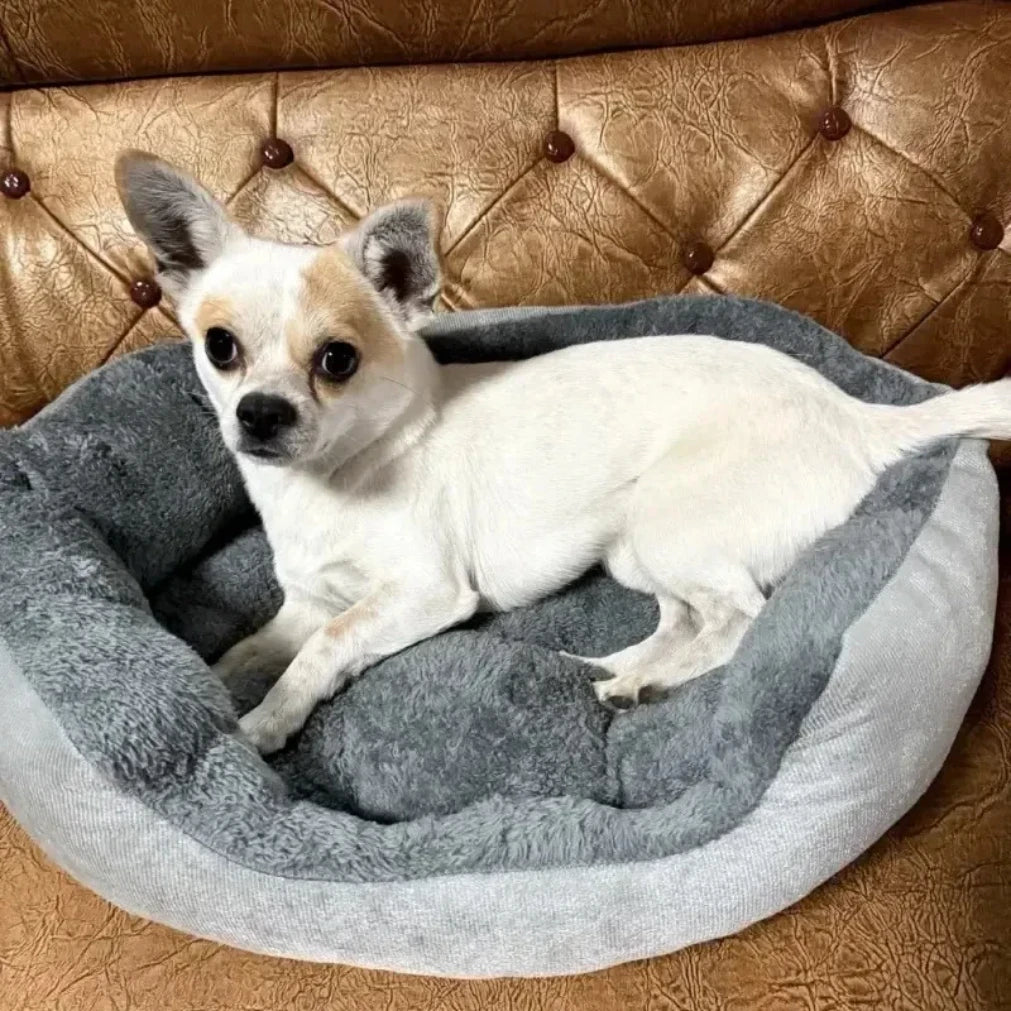 Soft Warm Bed