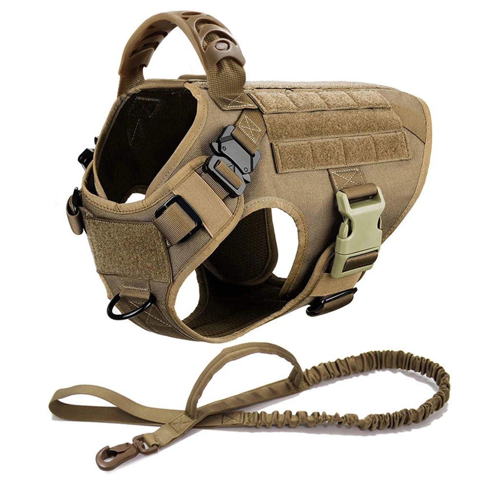 Large Dog Harness Collar Leash