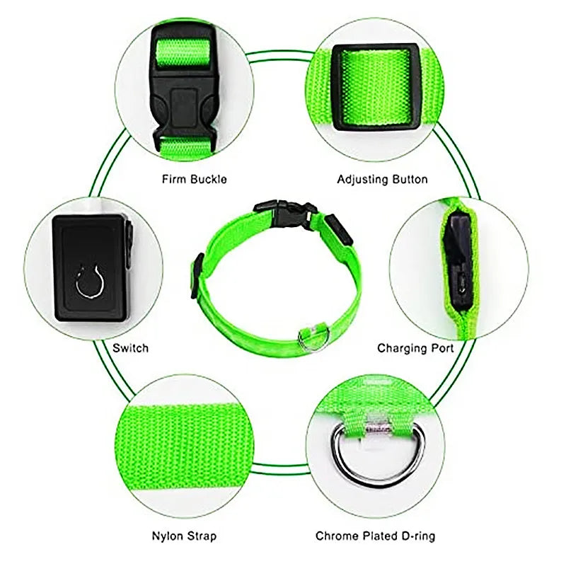 Luminous Collar