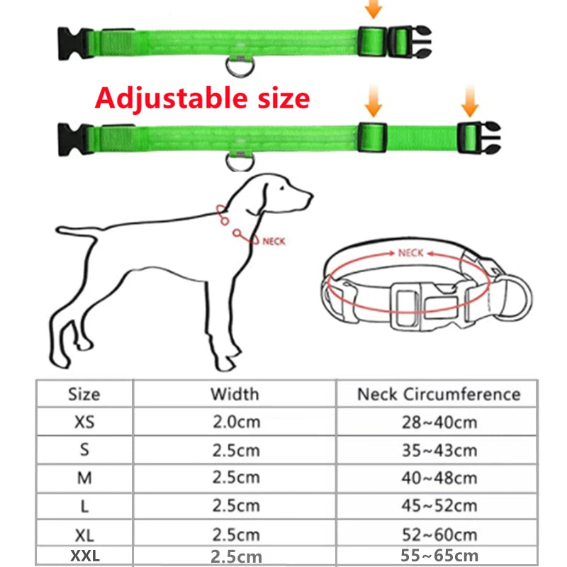 Luminous Collar