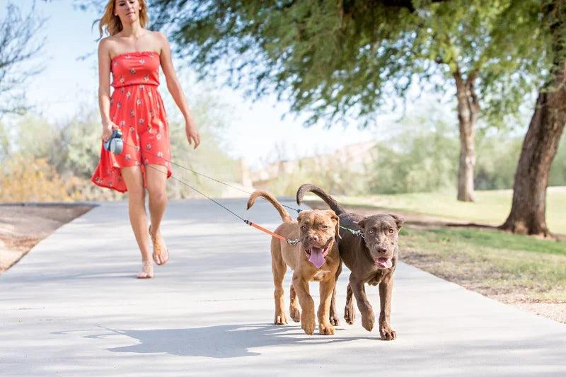 Premium 3M Retractable Double Dog Leash With LED Lights