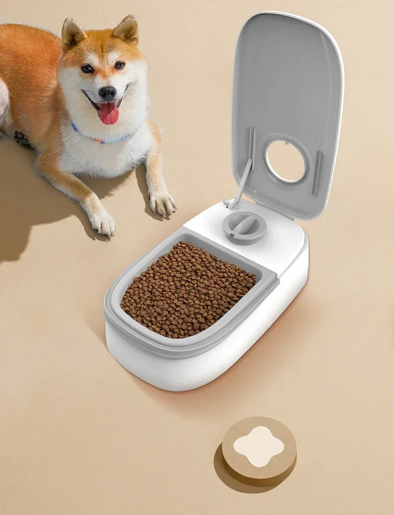 Automatic Timing Feeder