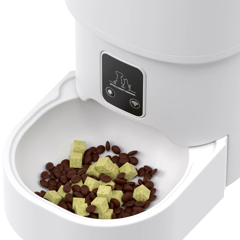 4L WIFI Feeder Intelligent