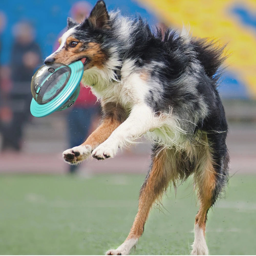 Feeder Toy