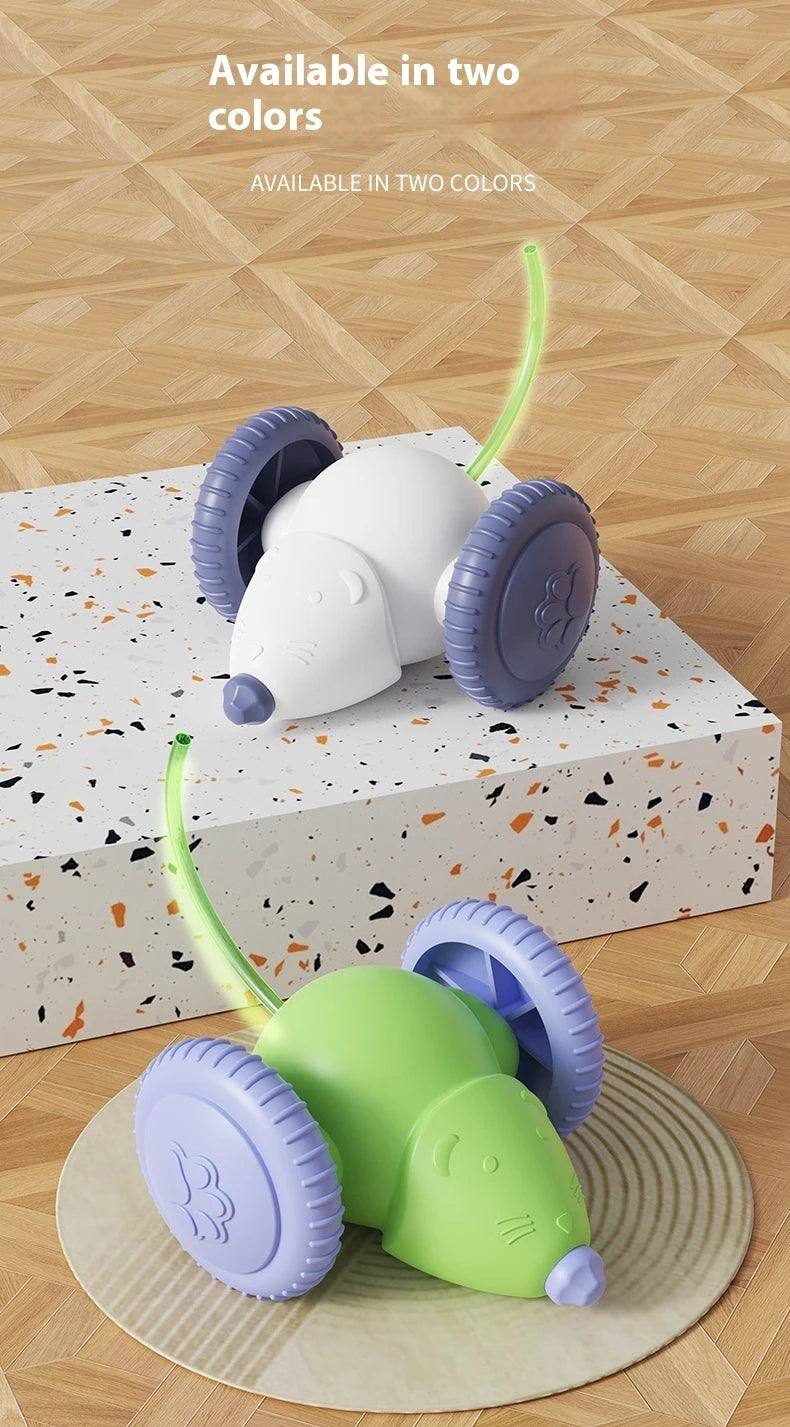 Electric Mouse Car