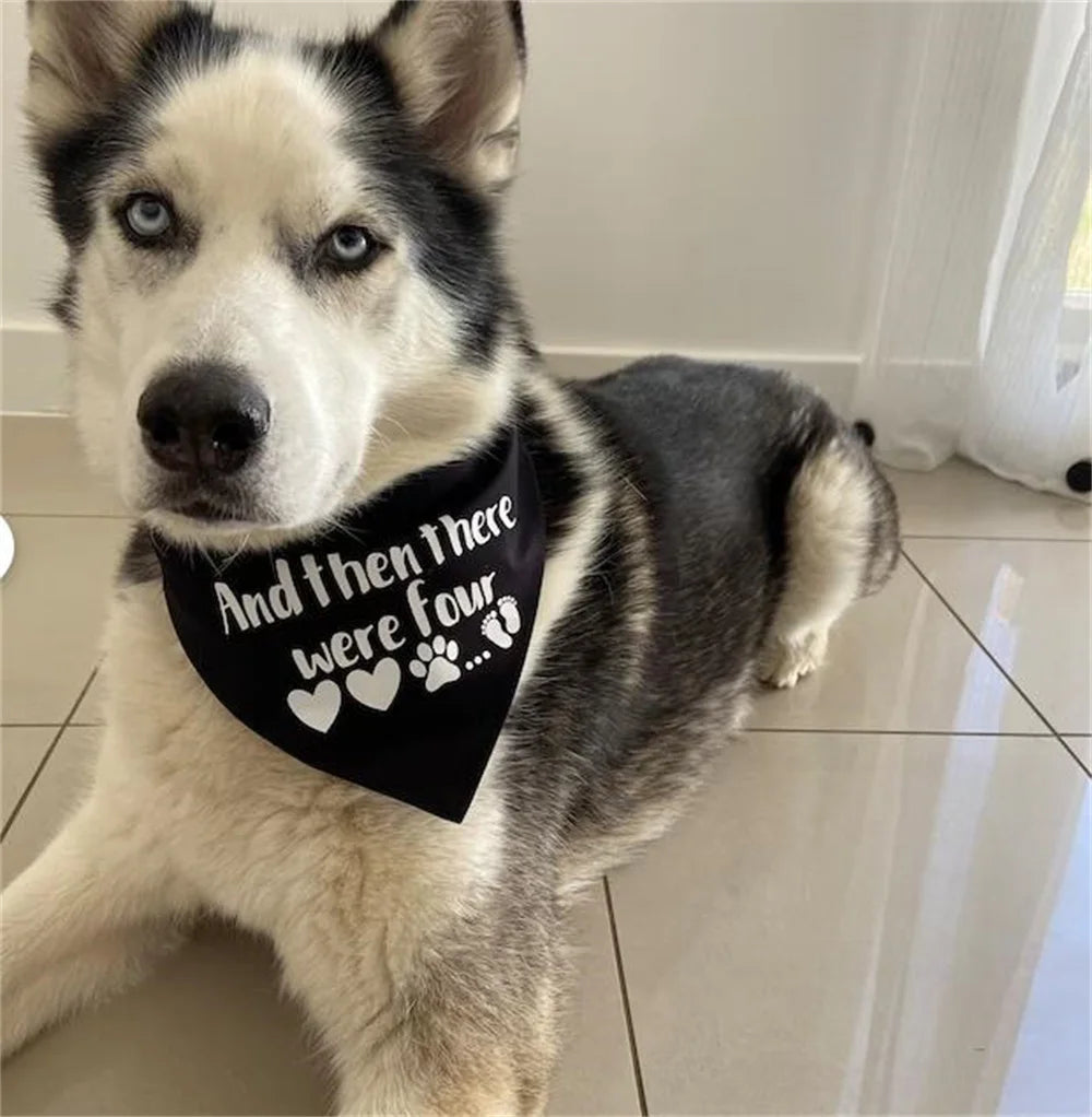 Baby Announcement Bandana