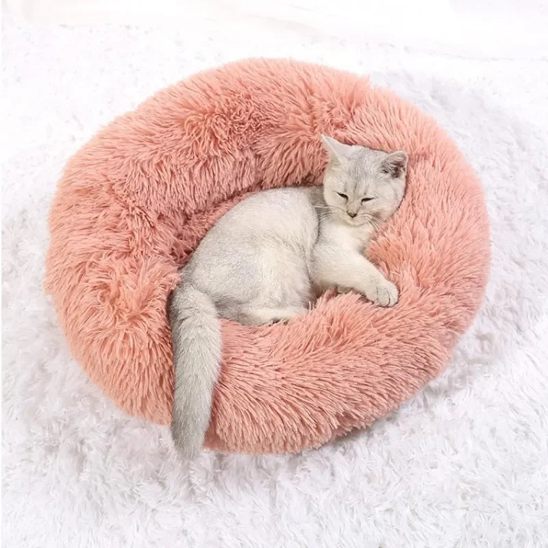 Super Soft Plush Bed