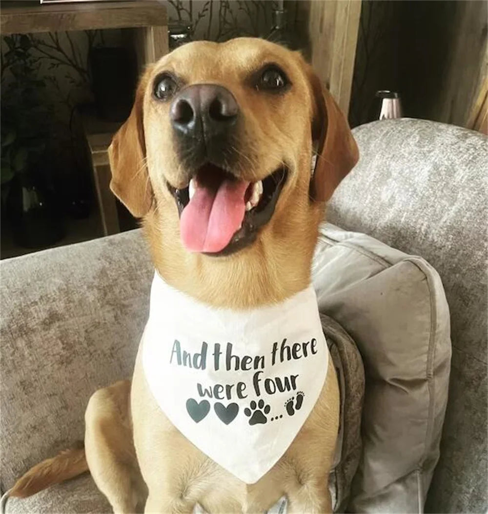 Baby Announcement Bandana