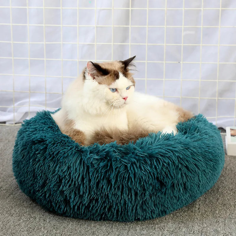 Super Soft Plush Bed