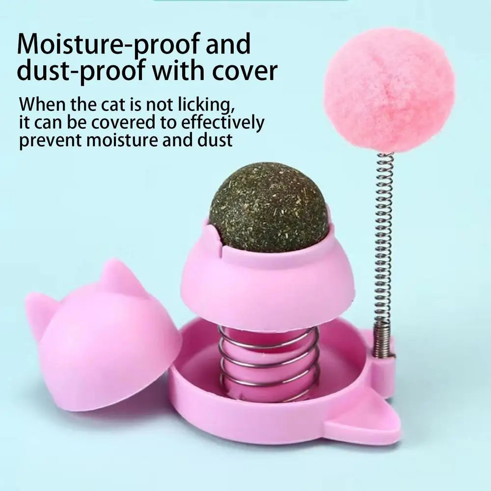 Catnip Wall Toys Rotatable Cat Licking Balls