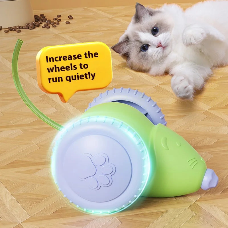 Electric Mouse Car