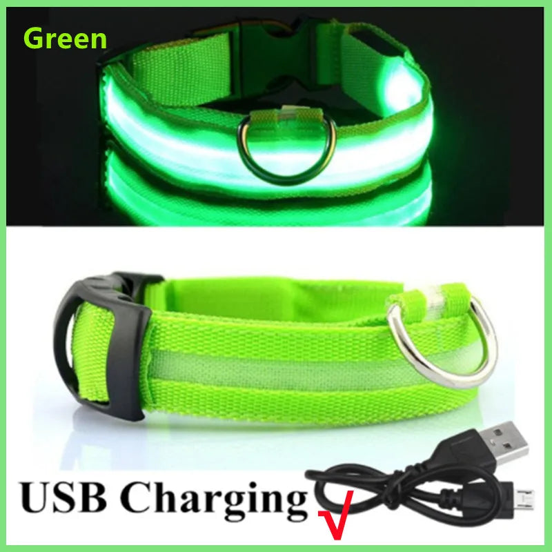 Luminous Collar