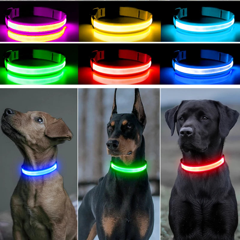 Luminous Collar