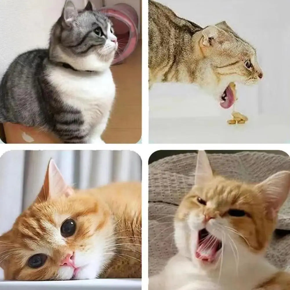 Catnip Wall Toys Rotatable Cat Licking Balls
