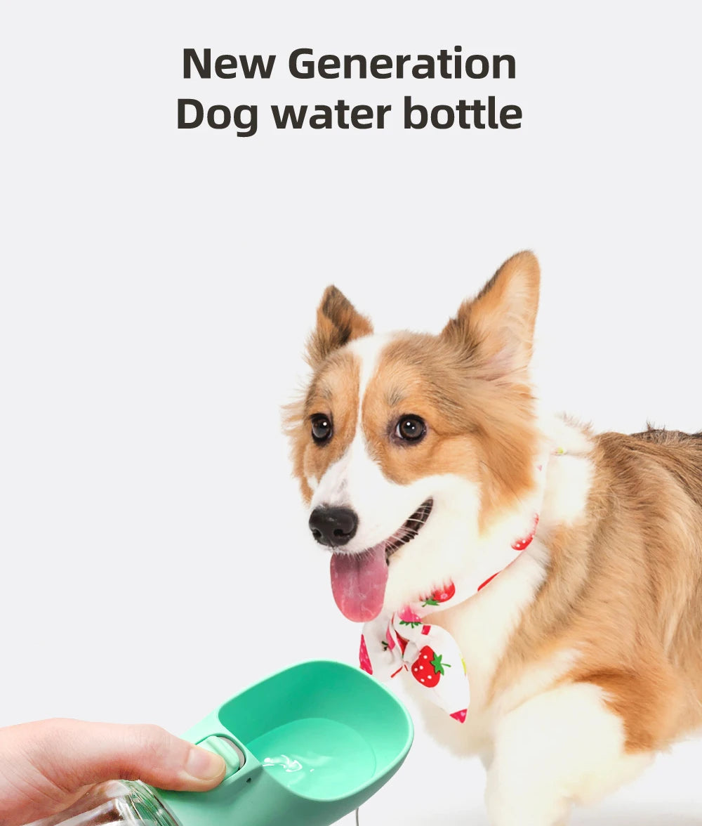 Outdoor Water Bottle For Cats & Dogs