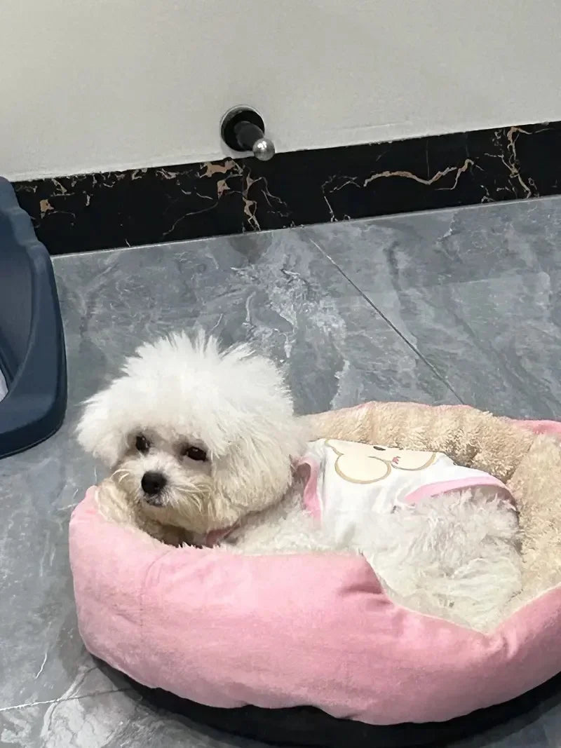 Soft Warm Bed