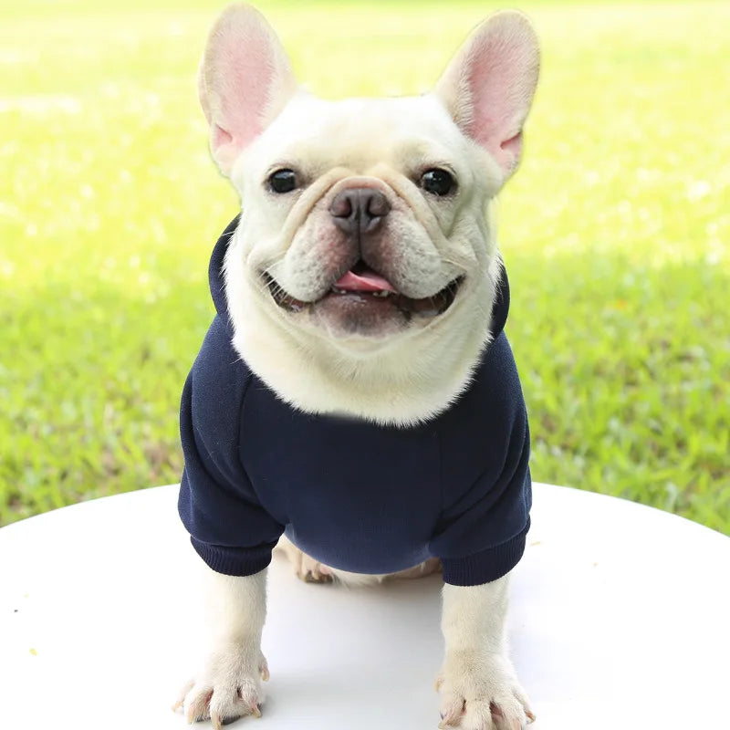 Dog Winter Hooded Sweatshirt