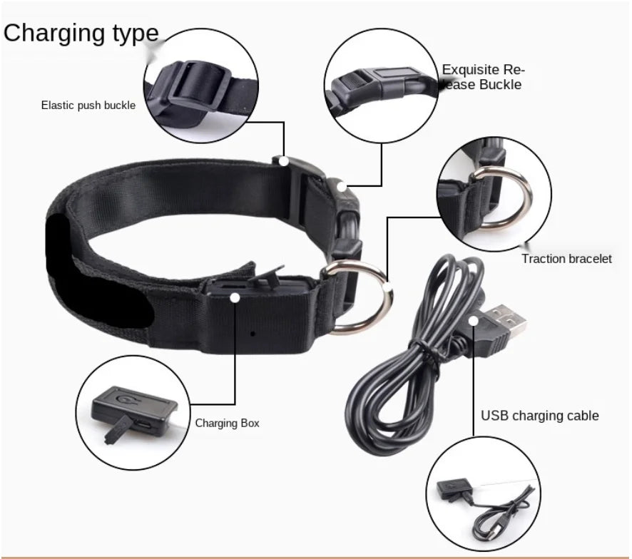 Luminous Collar