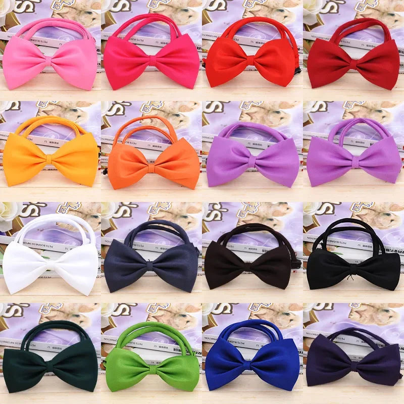 Pet Necklace Adjustable Strap