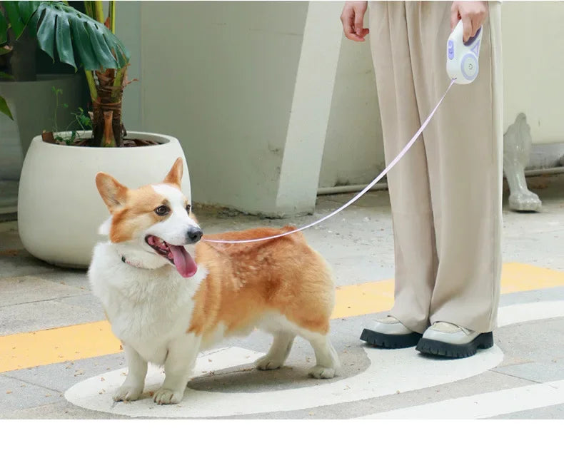 LED Retractable Dog Leash