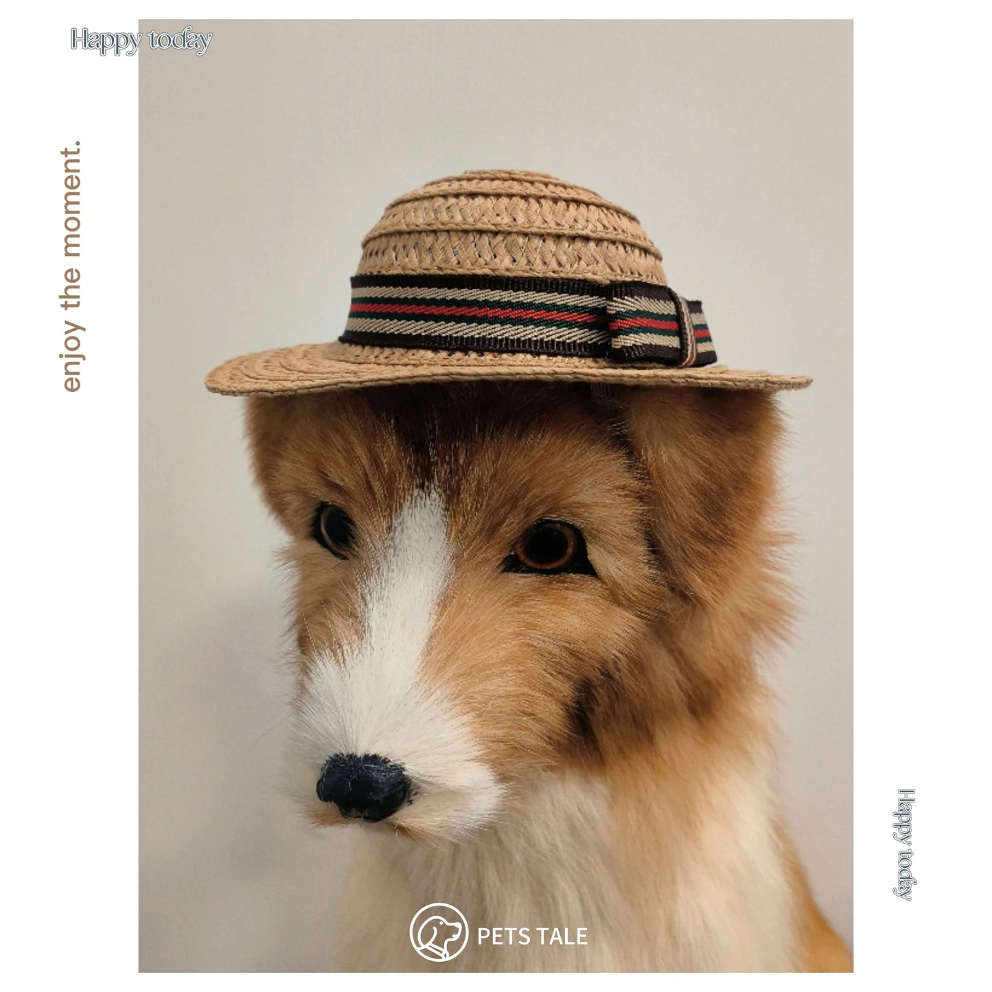 Premium Dog Straw Hat