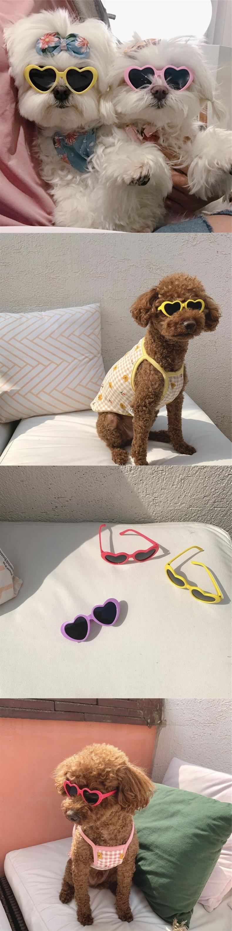 Pet Love Glasses
