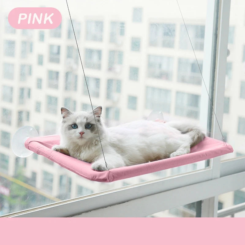 Cat Hammock