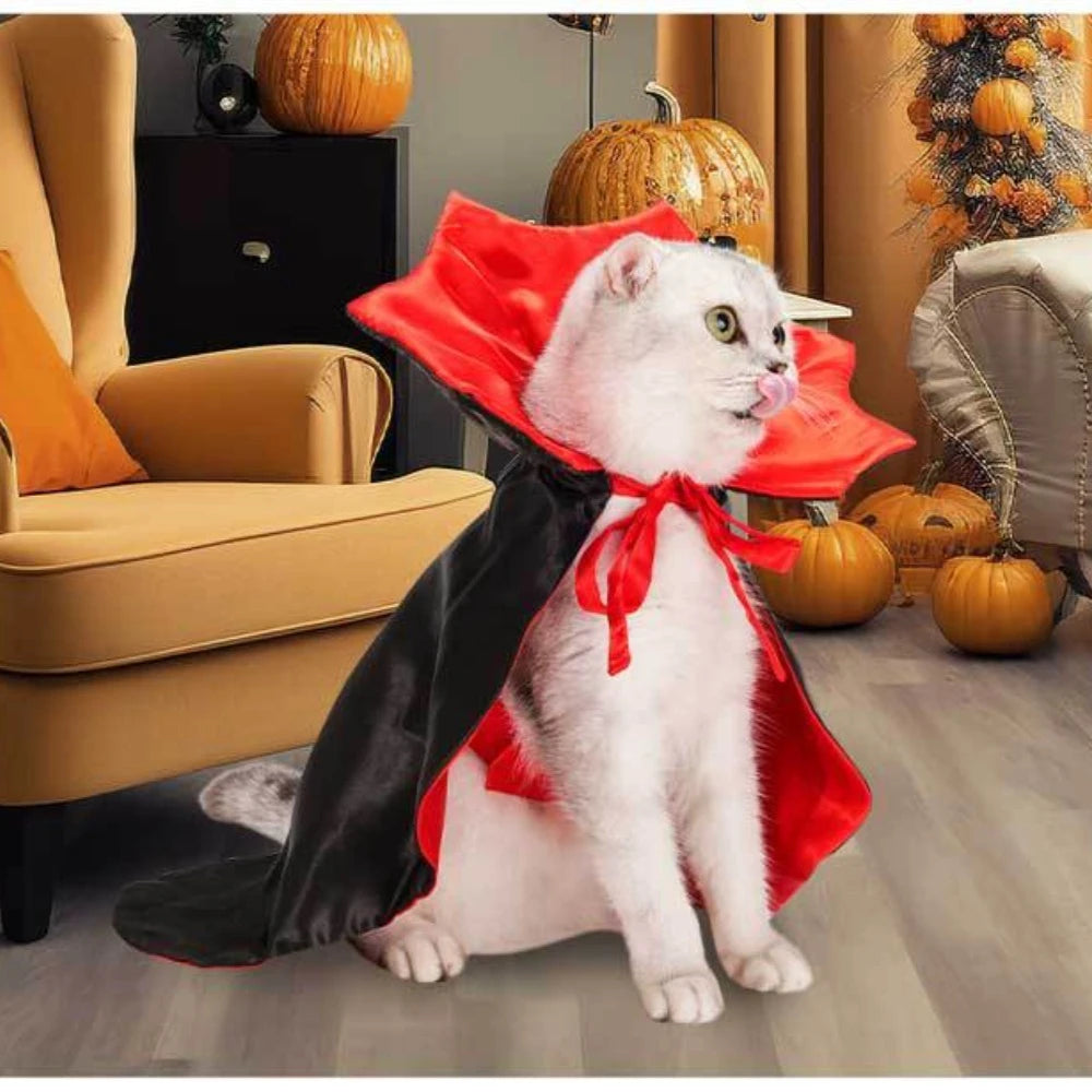 Halloween Vampire Costumes Couture