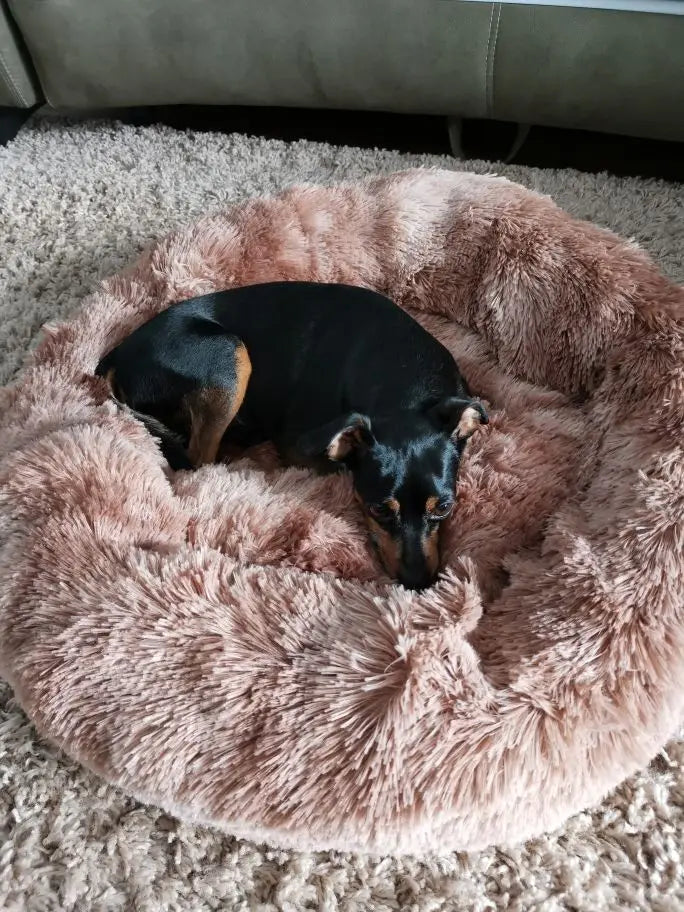Pet Calming Donut Bed