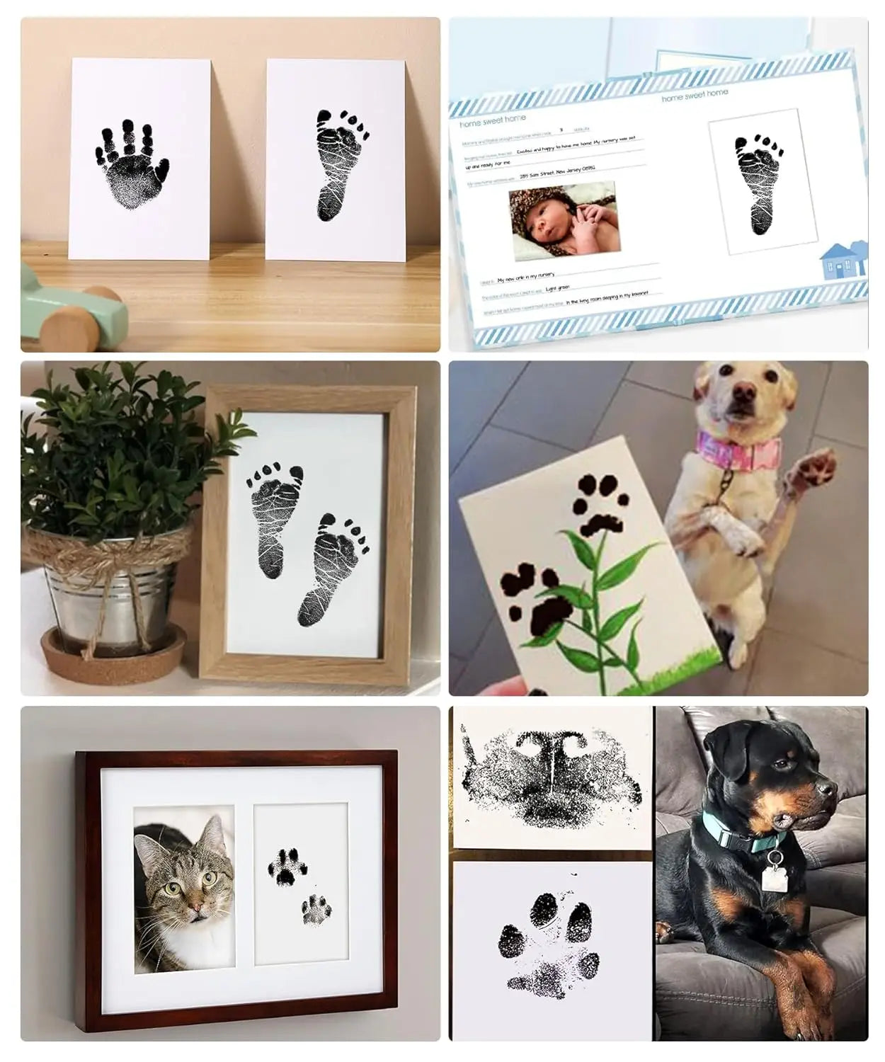Pet Footprint Kit,