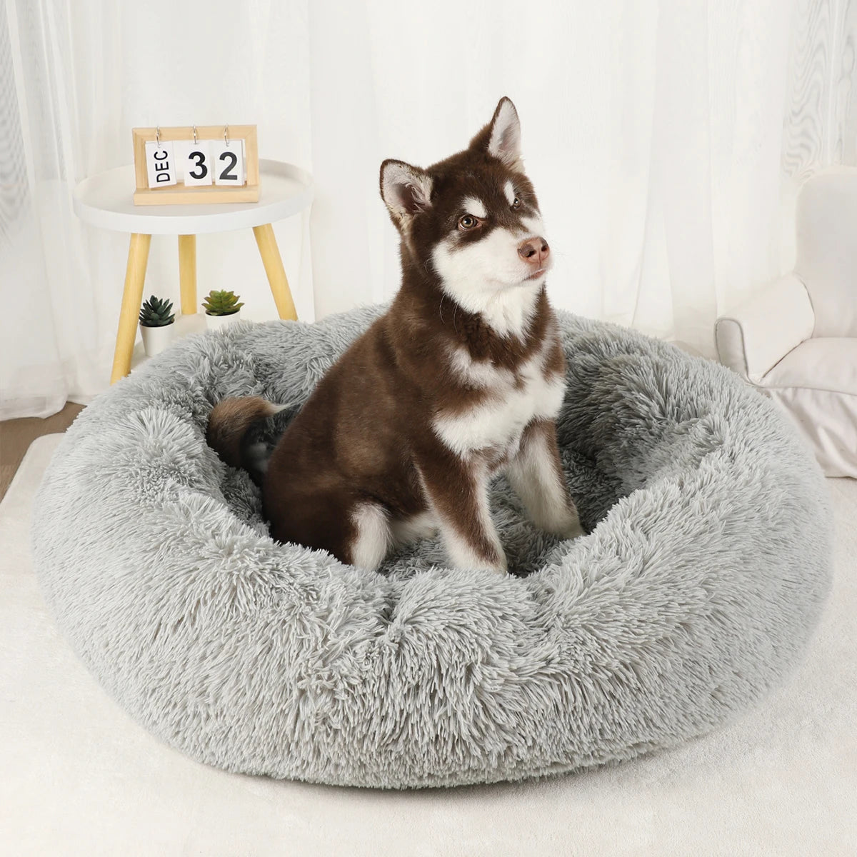 Large Round Donut Bed