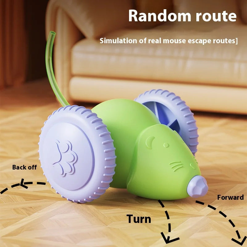 Electric Mouse Car